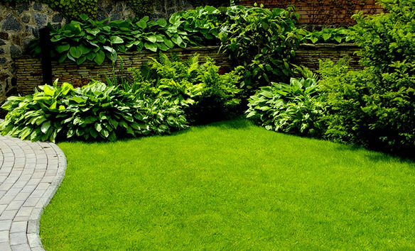 Paysagiste  Saint-Cyr-au-Mont-d'Or