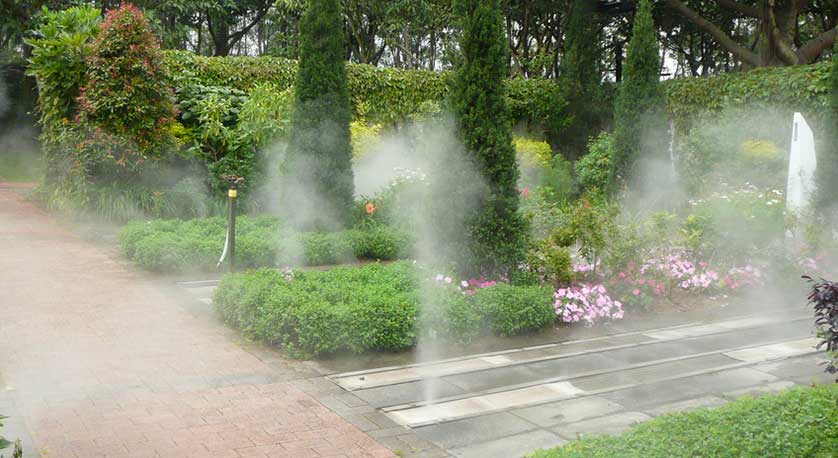 Arrosage automatique