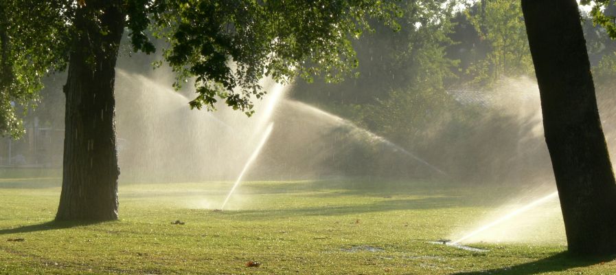 Arrosage automatique